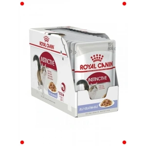 Yaş Kedi Maması - Lezzetli Jel Form (12 x 85 gr)