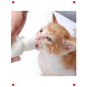 Yavru Kedi Köpek Biberonu 2 Emzikli 50 ml