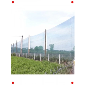 Yeşil %55 Gölgelik File - Düz Kenar - 1.5x20M