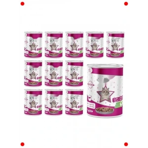 Yetişkin Kedi Biftekli Jöleli Konserve Mama 400gr (12 Adet)