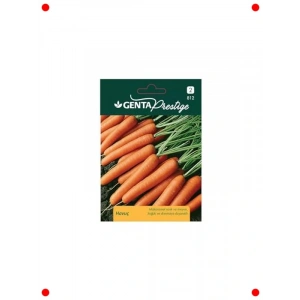 Yüksek Verimli Havuç Tohumu