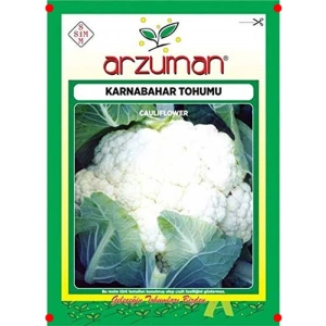 Yüksek Verimli Karnabahar Tohumu