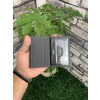 Guard Antrasit Mat Deri Kartlık