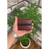 Guard Bordo Spor Şeritli Deri Erkek Cüzdanı