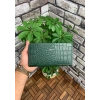 Guard Croco Yeşil Deri Kadın Cüzdanı & El Çantası