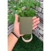 Guard Haki Yeşil Deri Kartlık