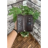 Guard Kahverengi Croco Baskılı Fermuarlı Portföy Cüzdan