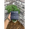 Guard Lacivert Çıt Çıtlı Deri Bayan Cüzdanı