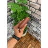 Guard Mat Taba Fermuarlı Portföy Cüzdan