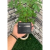 Guard Siyah Yol Desenli Patlı Tasarım Deri Kartlık