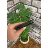 Guard Tek Pisotlu Klasik Kahverengi Erkek Cüzdan