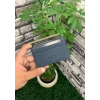 Guard Ultra İnce Unisex Lacivert Minimal Deri Kartlık