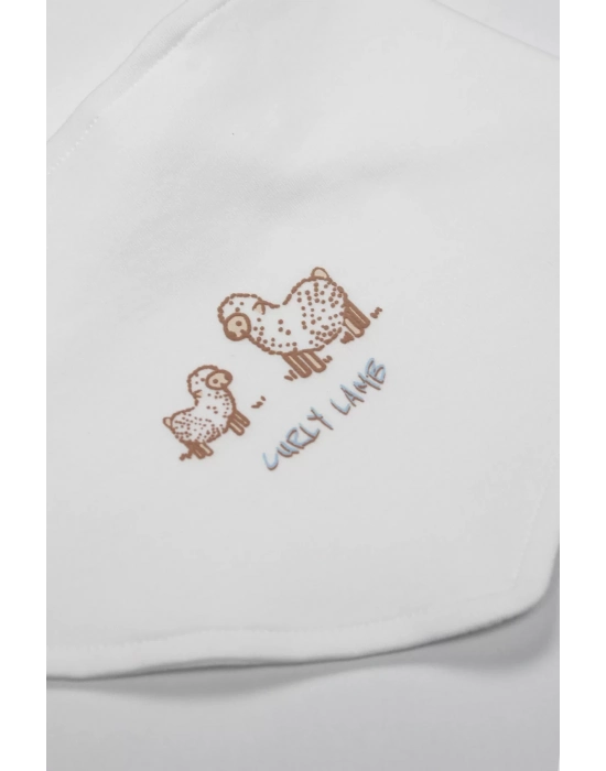 Bistyle Curly Lamb 10lu Hastane Çıkışı 11106 Bej Mavi Ekru