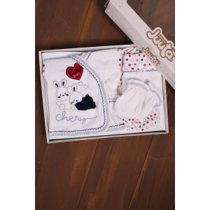 Tavşan Desenli 5 Parça Erkek Bebek Hastane Çıkışı Seti