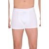 Berrak Erkek  Modal Boxer  4476