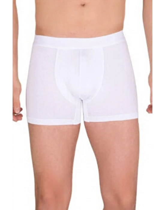 Berrak Erkek  Modal Boxer  4476