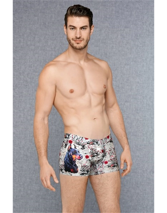 Doreanse Erkek Modal Baskılı Boxer 1808
