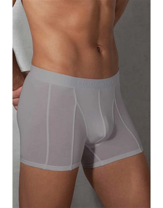 Doreanse Rahat Erkek Boxer 1755