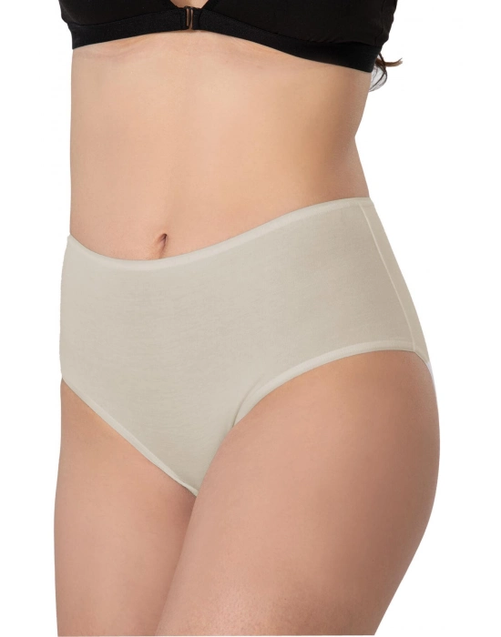 Ten Mı Emay 1442 Modal Coton Yüksekbel Külot