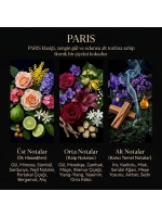 Nevince Paris Fragrance