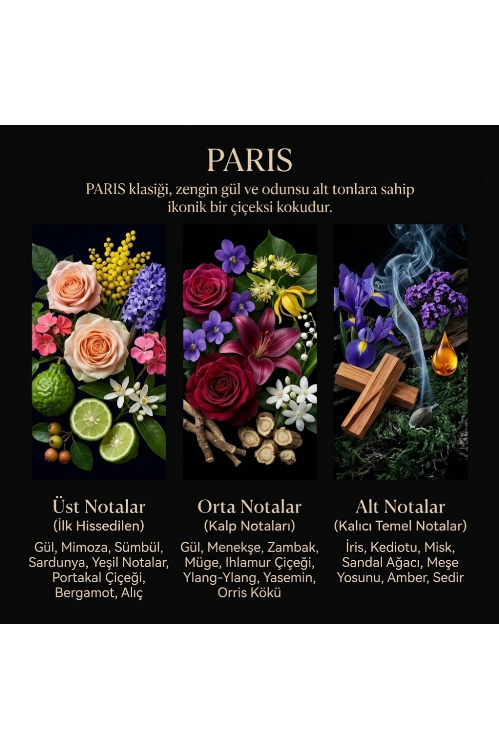Nevince Paris Fragrance