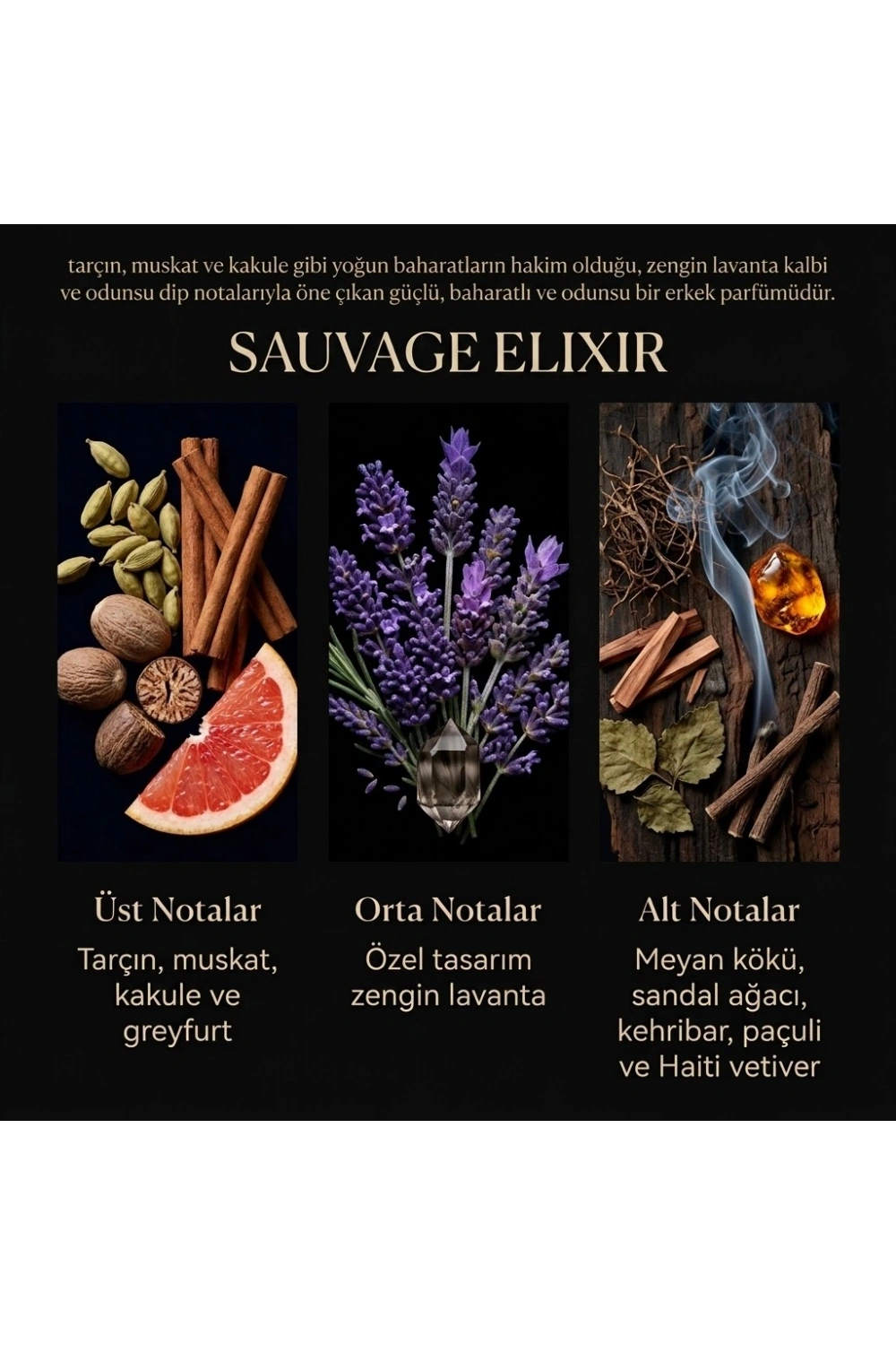 Nevince Sauvage Elıxır Fragrance For Men