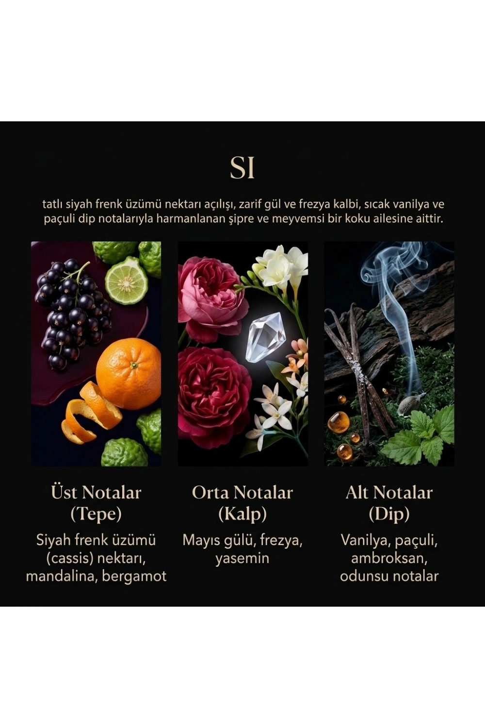 Nevince SI Fragrance