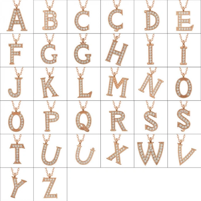 Kadın Gümüş Rose D Harfi Kadın Kolye