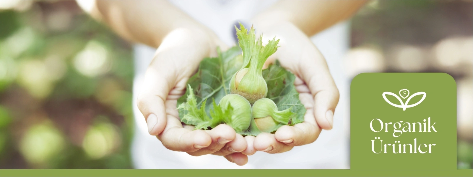 Organik Ürünler