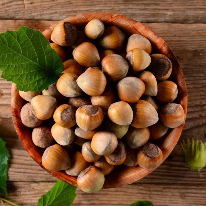 Azof Organik Kabuklu Fındık 500 gr Yeni Hasat