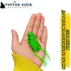 Pandora CrazyLure Frog 6cm 12gr - 8li Karışık Seri Kutu