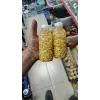 PET ŞEKER MISIRI