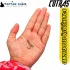 Camorex 3551 Üçlü Çarpma İğne No:6 (100 Adet) - 19.50 mm