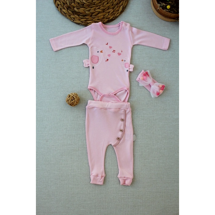 3-6 6-9 9-12 Ay Şarkıcı Kuşlar Nakışlı Bandanalı Uzun Kollu Zıbınlı 3lü Kız Bebek Takımı Pembe
