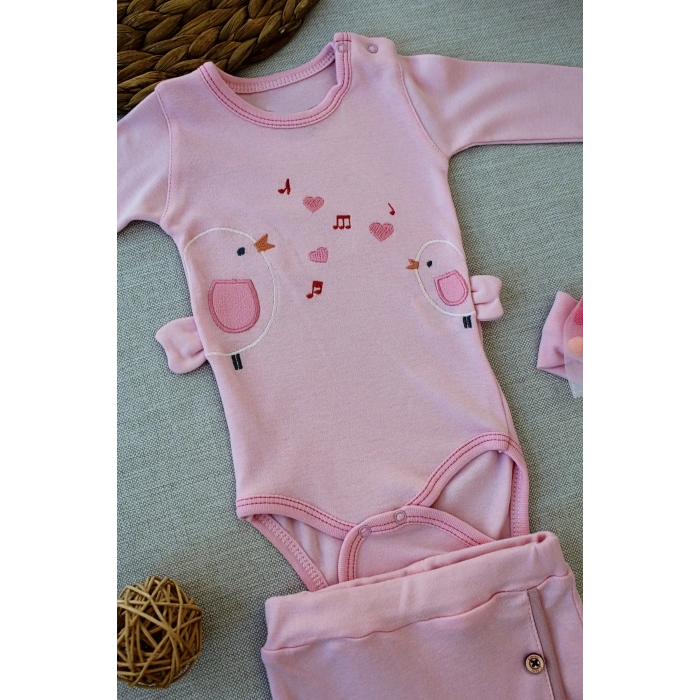3-6 6-9 9-12 Ay Şarkıcı Kuşlar Nakışlı Bandanalı Uzun Kollu Zıbınlı 3lü Kız Bebek Takımı Pembe