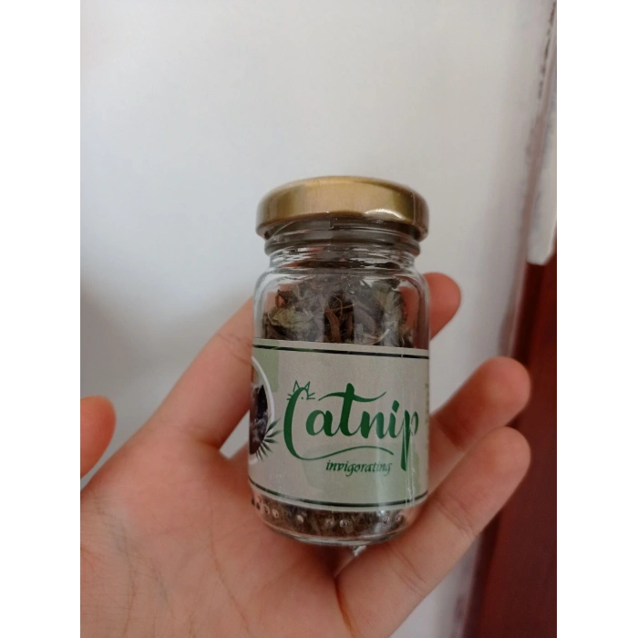 Catnip Doğal Kedi Otu - Kedi Nanesi