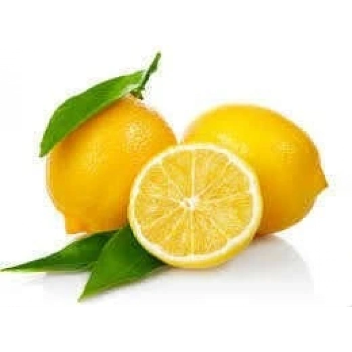 Limon Bonesi / 500 Adet / Bitki Çayı Bonesi