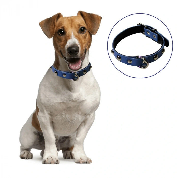 Yumuşak Dokulu Deri Köpek Gezdirme Boyun Tasması (large) (4172)