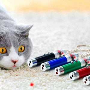 3 Fonksiyonlu Kırmızı Beyaz Işıklı Led Lazer Kedi Köpek Oyuncak Anahtarlık (4172)