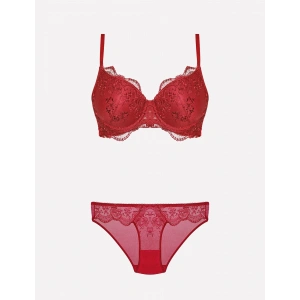 4385 Dantelli Sütyen Takımı