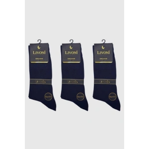 Livoni Dikişsiz Bambu Erkek Çorap
