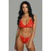 Kadın Kırmızı Dantelli Seksi Sütyen Takımı