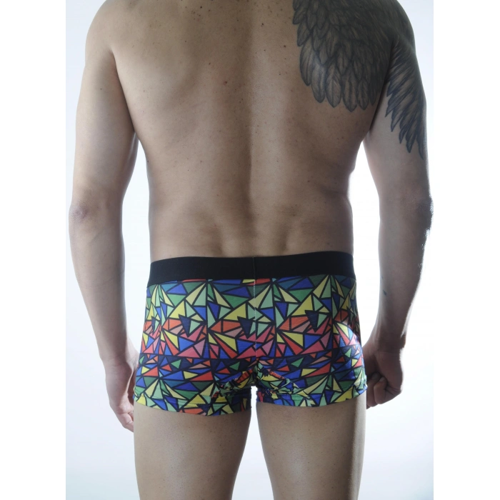 Erkek Renkli Desenli Boxer