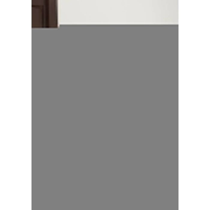 Kadın Omuz Dekolteli Tül Transparan Detay Mini Elbise