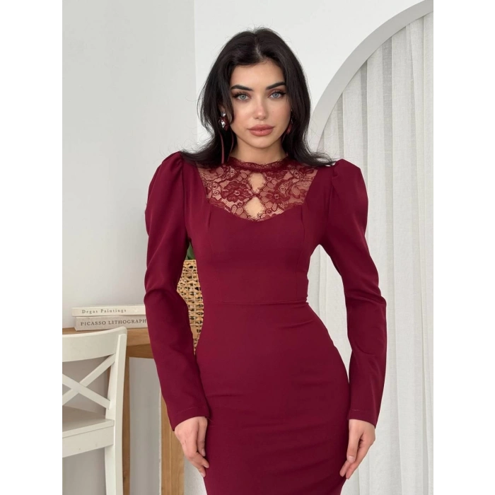 Port Dantel Detay Elbise