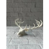 odern Geyik Başı Biblo 25 cm Zarif Masa Üstü Dekor