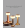 Şarj Edilebilir LED Masa Lambası – USB Girişli, Metal Yapı