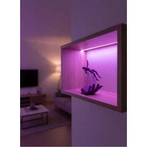 EL İNSAN FİGÜRÜ MOR