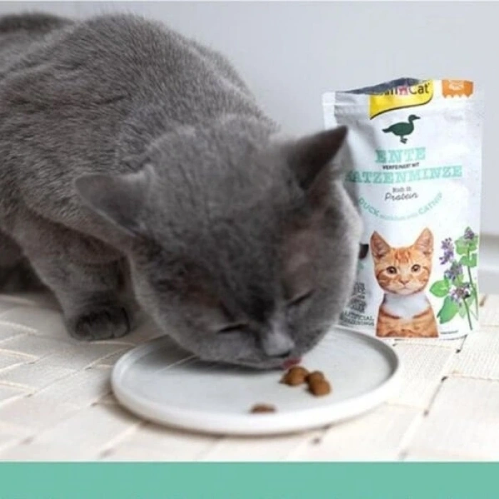 Gimcat Crunchy Snacks Ördekli ve Kedi Naneli Tahılsız Kedi Ödül Maması 1 Adet 50 Gr