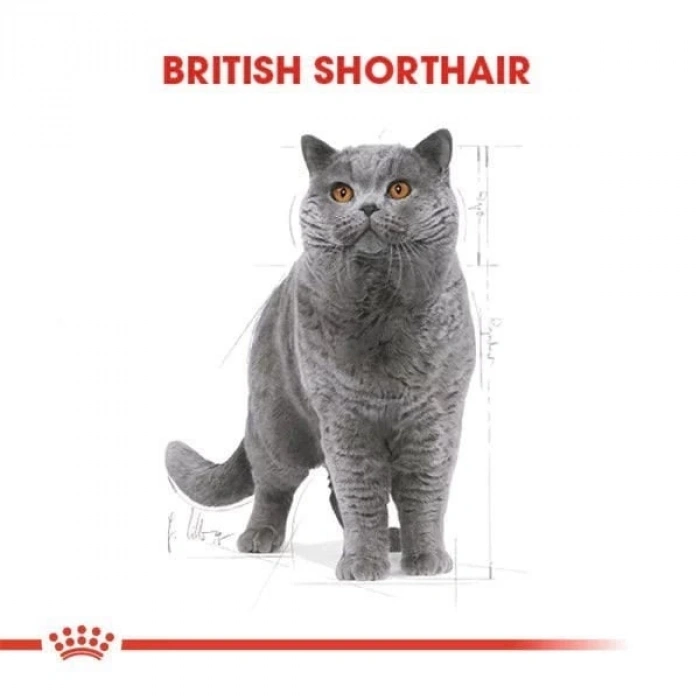 Royal Canin British Shorthair Adult Pouch Konserve Kedi Maması 1 Adet 85 Gr
